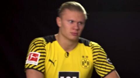 足球联赛赛季最佳射手排行榜